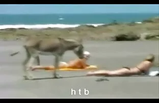 XXX पोर्न स्टार ने अपना जन्मदिन सेक्स पिक्चर हिंदी मनाया है