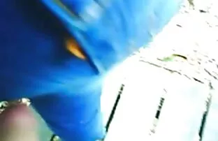 XXX परिपक्व जोड़ा धीरे से tumbling ब्लू पिक्चर ब्लू पिक्चर हिंदी में में बिस्तर